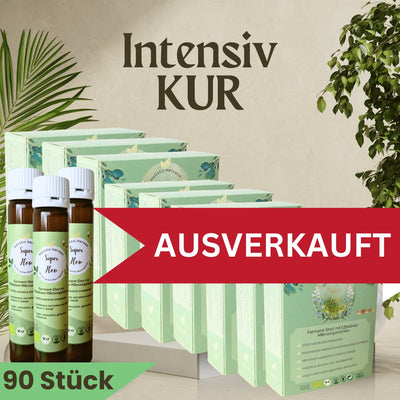 90er Intensivkur Bio Ferment - Shot Super Flow 90x25ml - Holistic Heroes GmbH